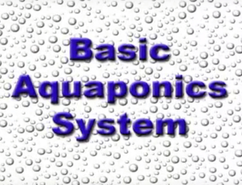 Basics System