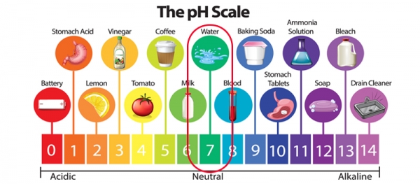 PH Levels, Nitrites And Nitrates 2024