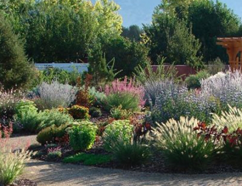 Xeriscaping the Right Way