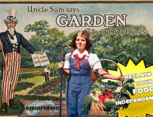The Self Reliance Movement and Modern Victory Gardens