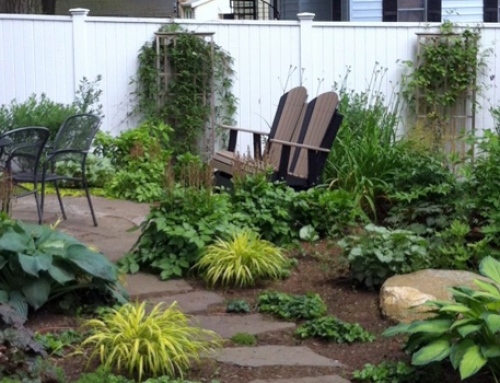 Permaculture Planting: Creating Environments