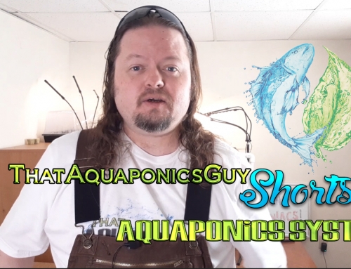 ThatAquaponicsGuy Shorts – Aquaponics Systems