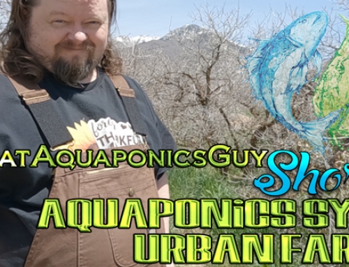 Aquaponics System Urban Farming
