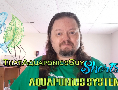 ThatAquaponicsGuy Shorts – Aquaponics System DIY