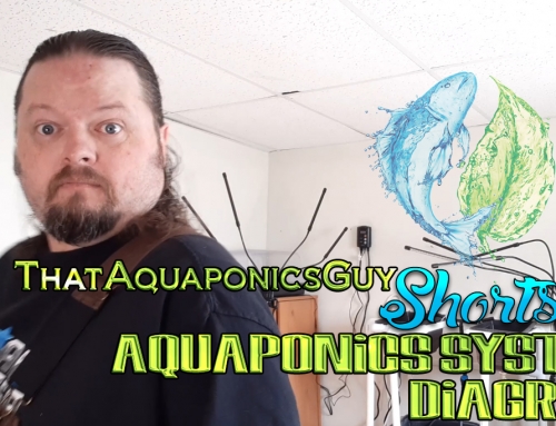 ThatAquaponicsGuy – Aquaponics System Diagram