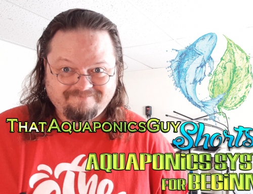 ThatAquaponicsGuy Shorts – Aquaponics Systems for Beginners