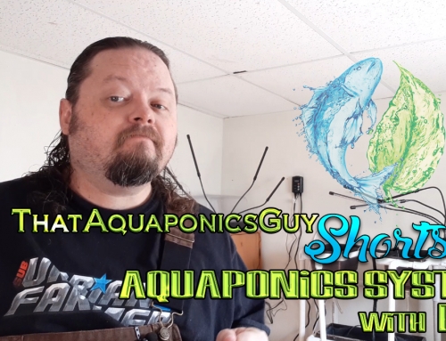 ThatAquaponicsGuy – Aquaponics System with Fish