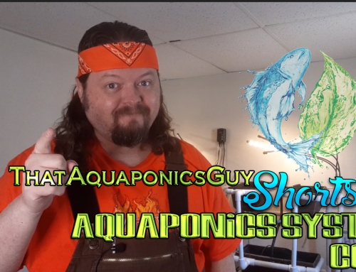 ThatAquaponicsGuy – Aquaponics System Cost