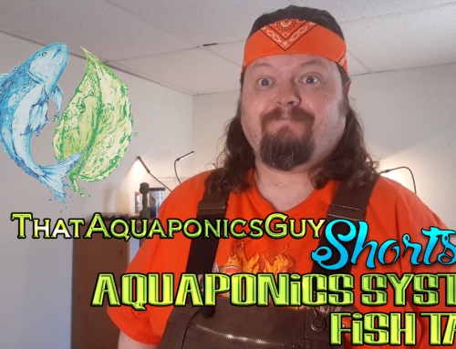 ThatAquaponicsGuy – Aquaponics System Fish Tank