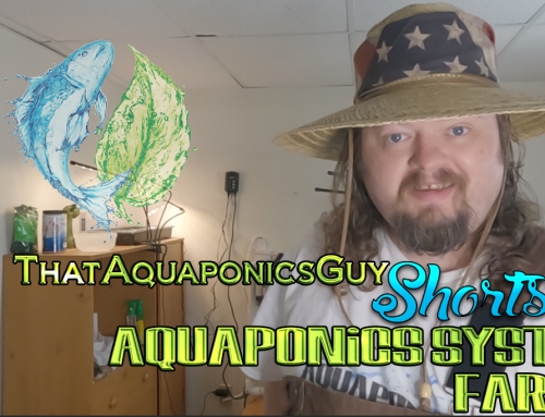 ThatAquaponicsGuy – Aquaponics System Farms