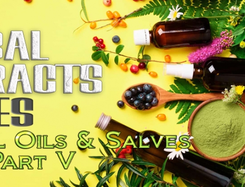 Herbal Extracts Series Part V – Herbal Oils and Salves
