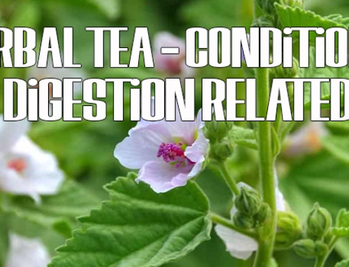 Hot Infusions – Conditions Digestion Related