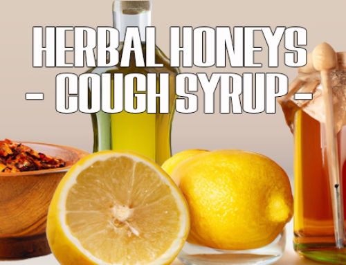 Herbal Honeys – Homemade Cough Syrup