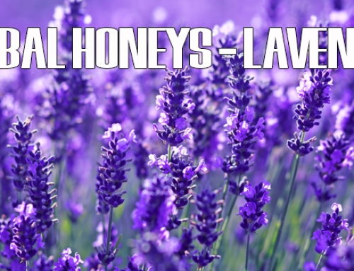 Herbal Honeys – Lavender Infused Honey