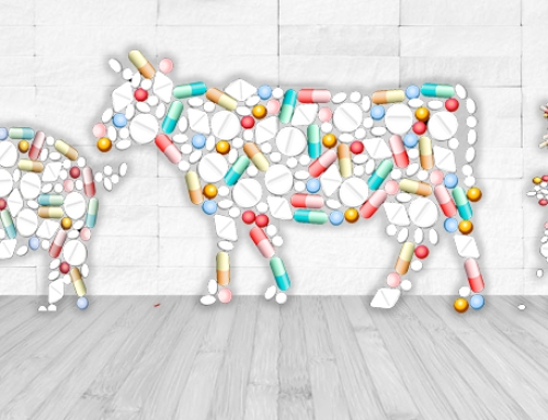 Getting Well – Stockpiling Antibiotics