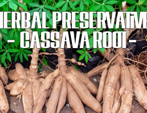 Natural Preservative Super Root