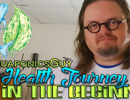 My Health Journey Reconnecting