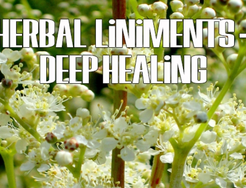 Liniments Deep Healing