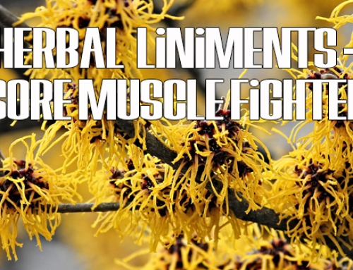 Liniments Sore Muscle Fighter